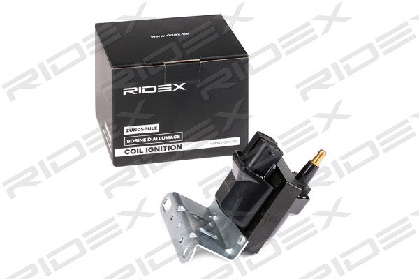 RIDEX 689C0354