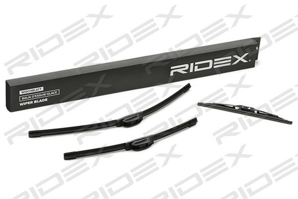 RIDEX 298W17042