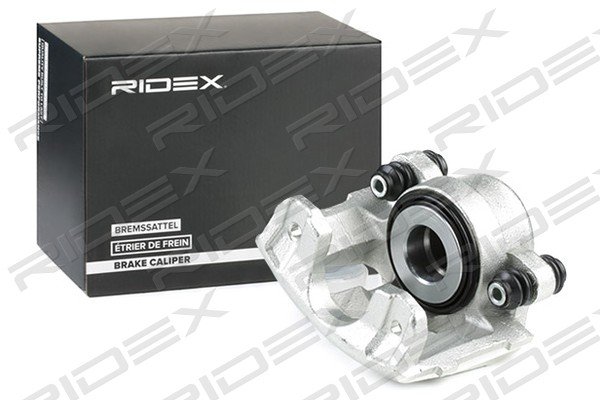 RIDEX 78B0391