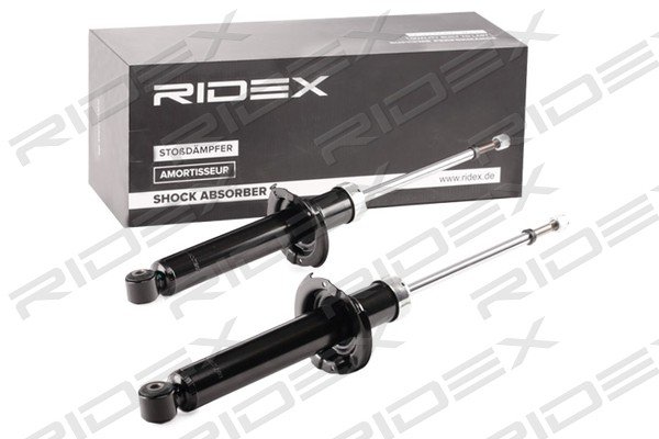 RIDEX 854S18069