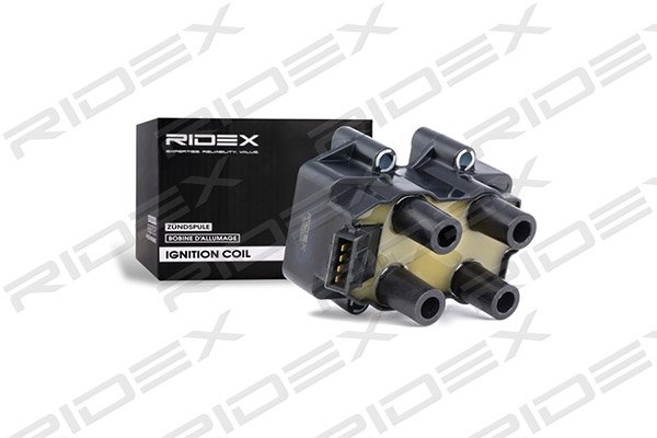RIDEX 689C0065