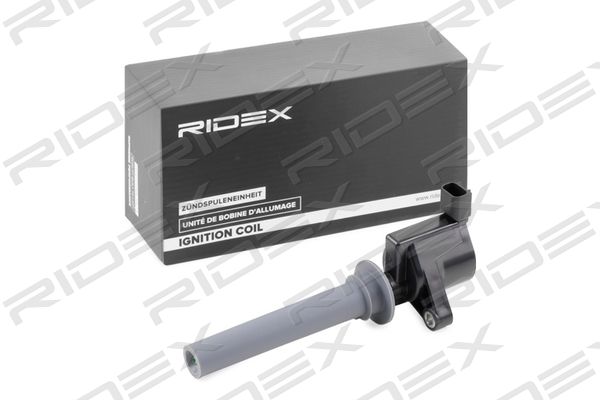 RIDEX 689C0336
