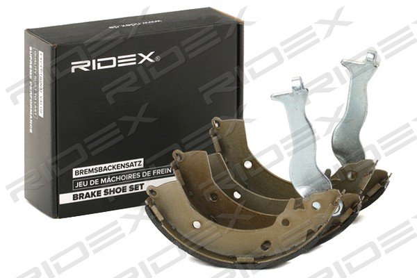 RIDEX 70B0318