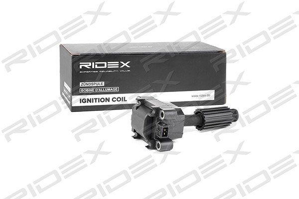 RIDEX 689C0223