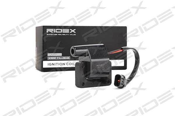 RIDEX 689C0139