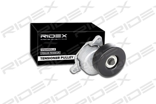 RIDEX 541V0021