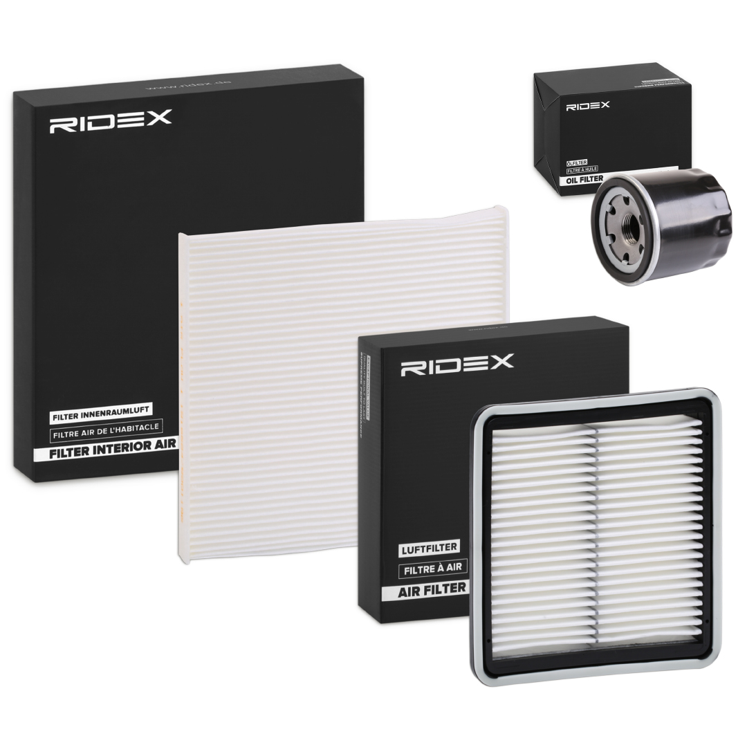 RIDEX 4055F19919