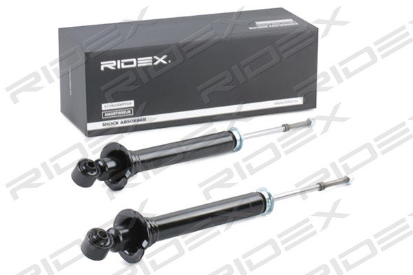 RIDEX 854S2251
