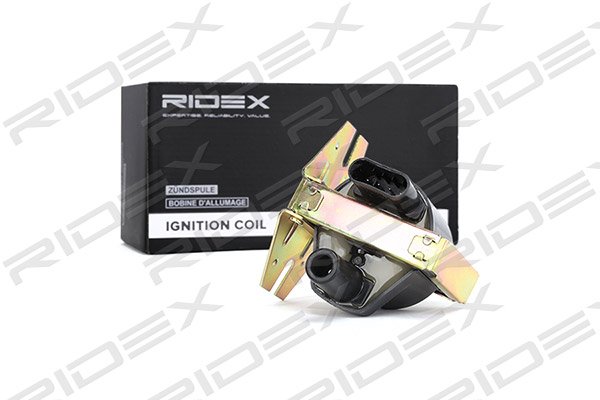 RIDEX 689C0202