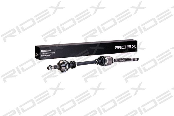 RIDEX 13D0196