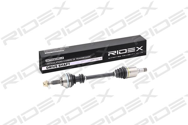 RIDEX 13D0055