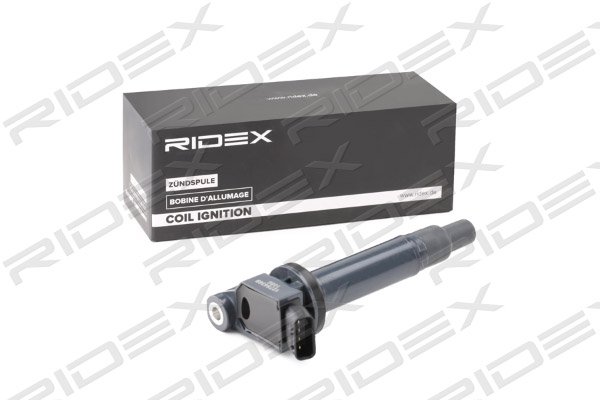 RIDEX 689C0318