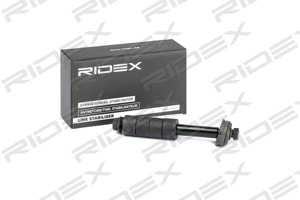 RIDEX 3229S0254