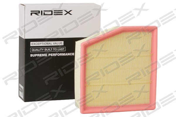 RIDEX 8A0599