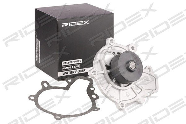 RIDEX 1260W0254