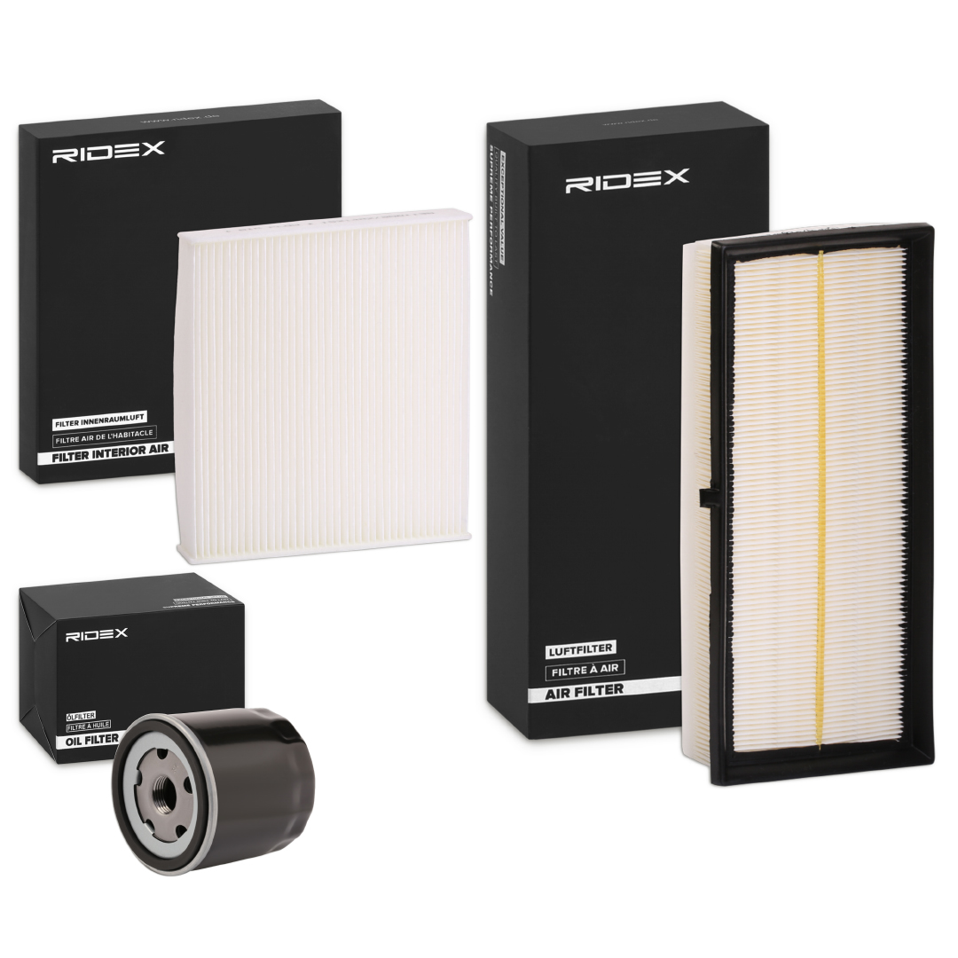 RIDEX 4055F3881
