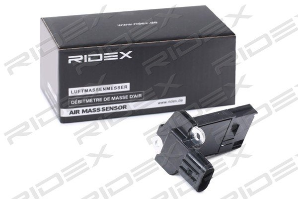RIDEX 3926A0317