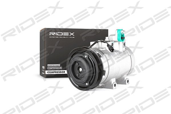 RIDEX 447K0122