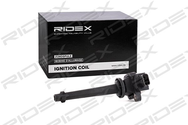 RIDEX 689C0293
