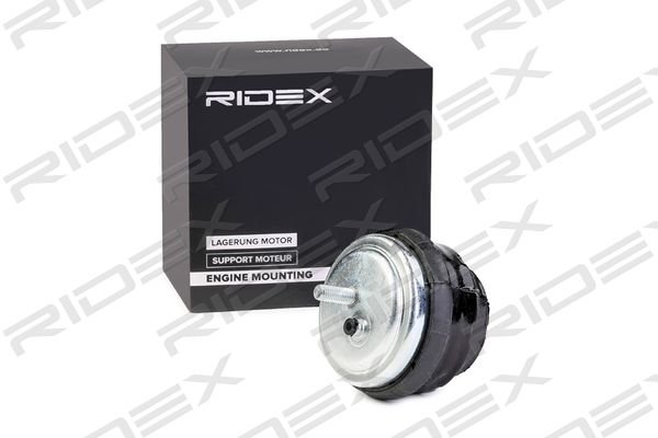 RIDEX 247E0124