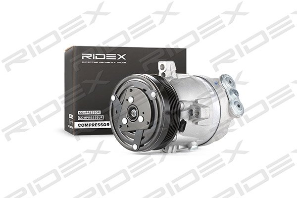 RIDEX 447K0123