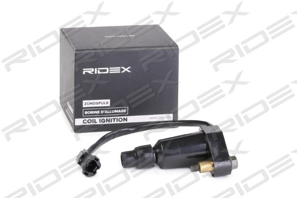 RIDEX 689C0325