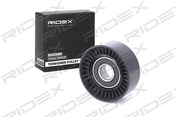 RIDEX 310T0224