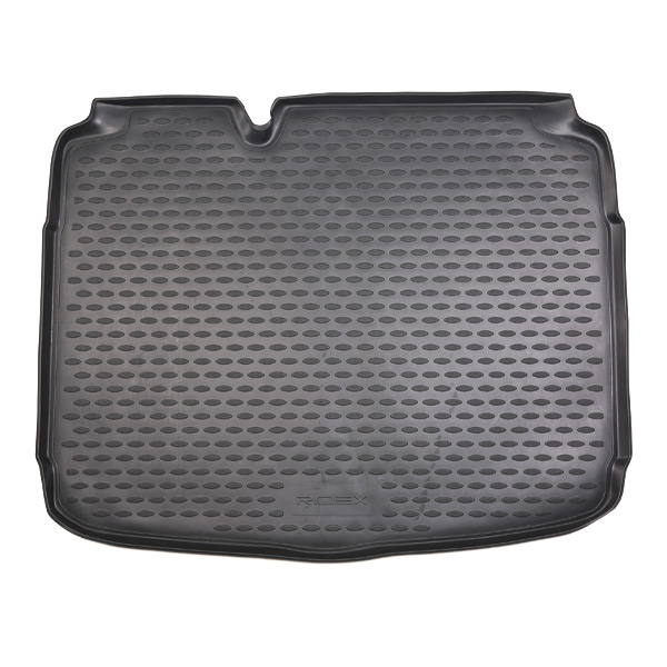 RIDEX 4731A0019