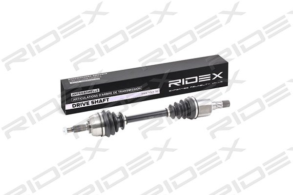 RIDEX 13D0212