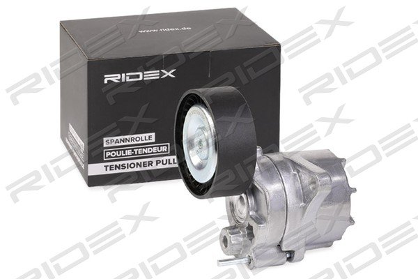 RIDEX 541V0031