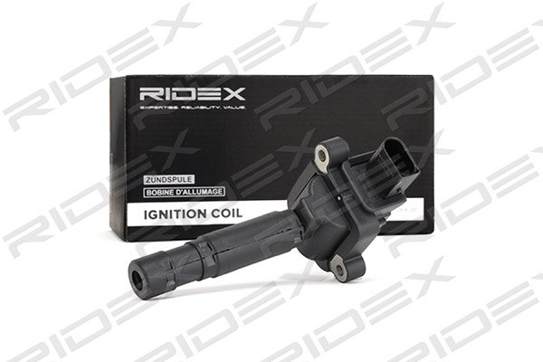 RIDEX 689C0265