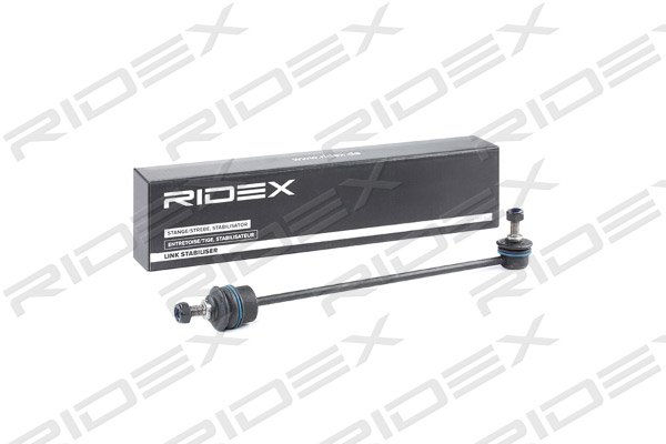 RIDEX 3229S0516