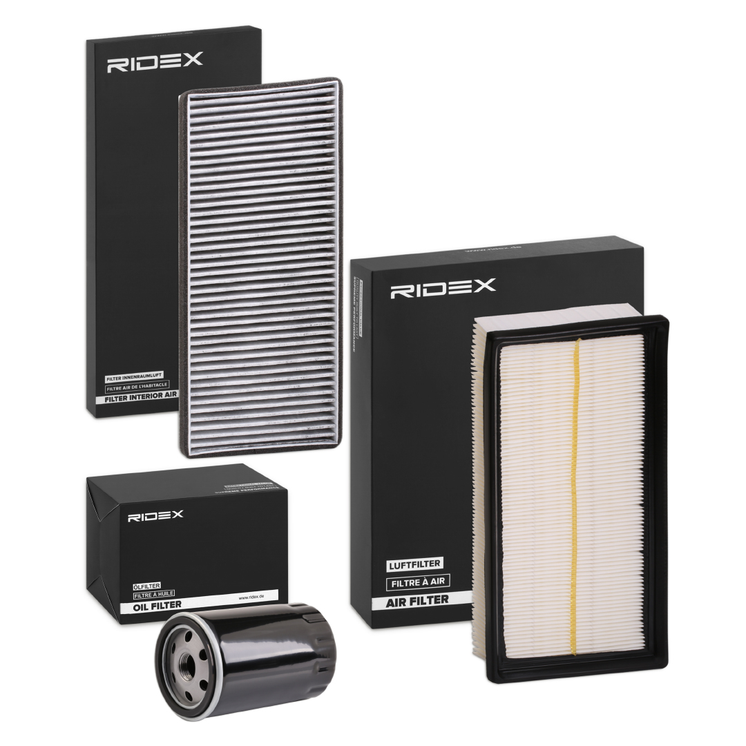 RIDEX 4055F3841