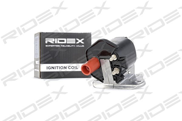RIDEX 689C0243
