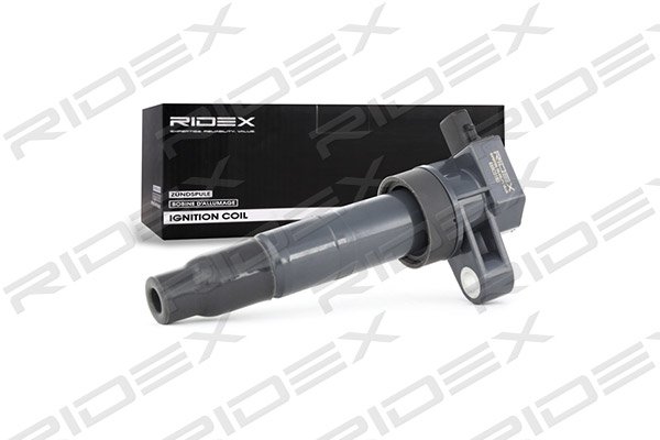 RIDEX 689C0193