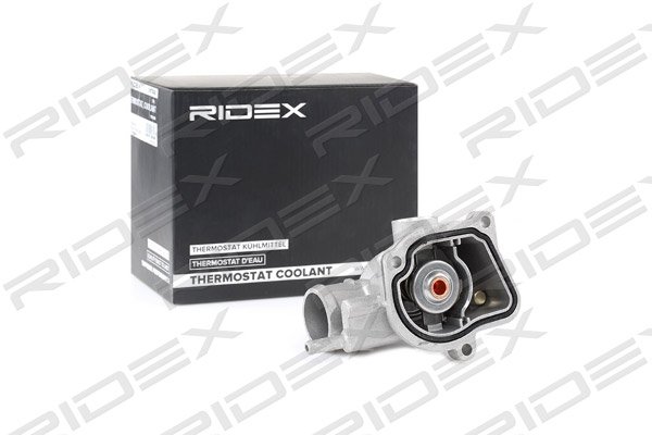 RIDEX 316T0100
