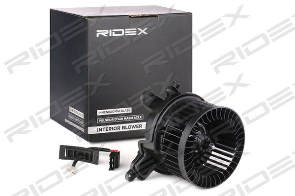 RIDEX 2669I0098