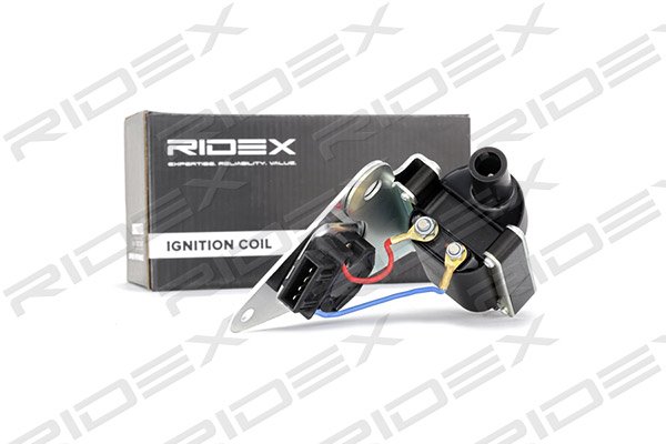 RIDEX 689C0096