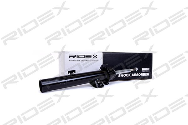 RIDEX 854S0249