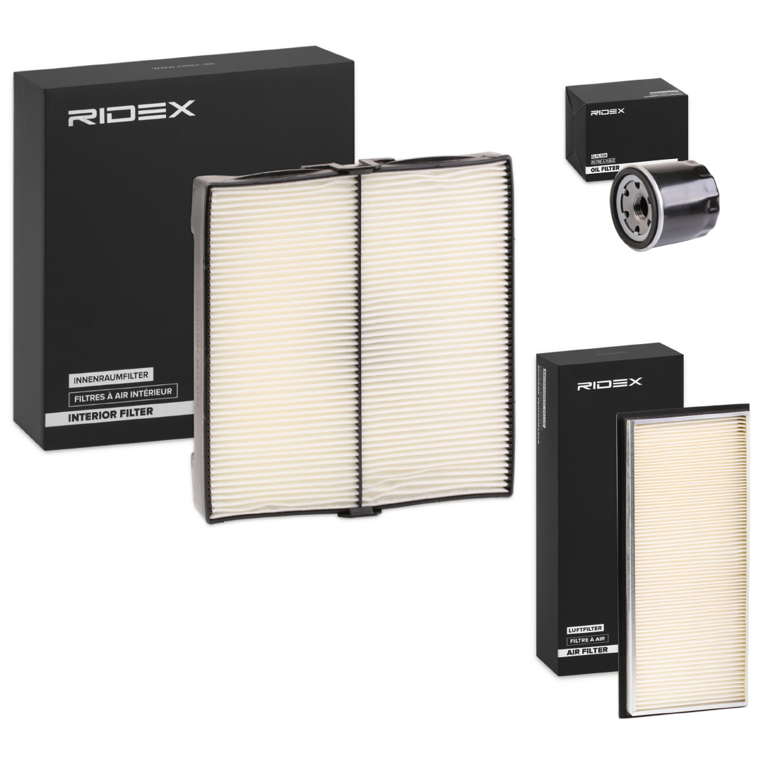 RIDEX 4055F19924
