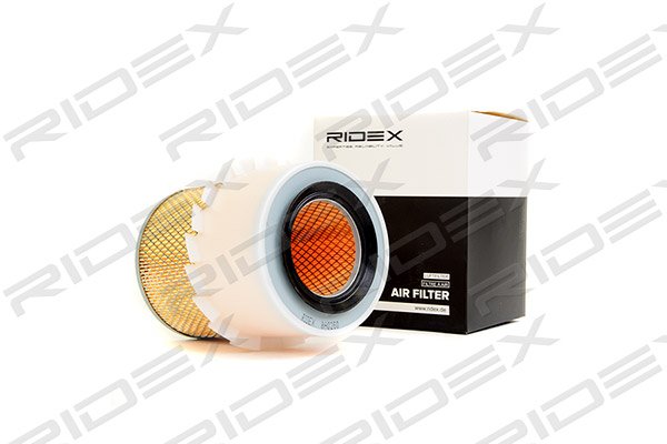RIDEX 8A0260