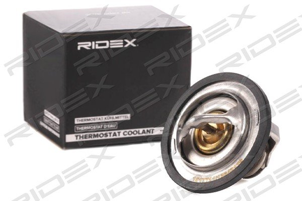 RIDEX 316T0162