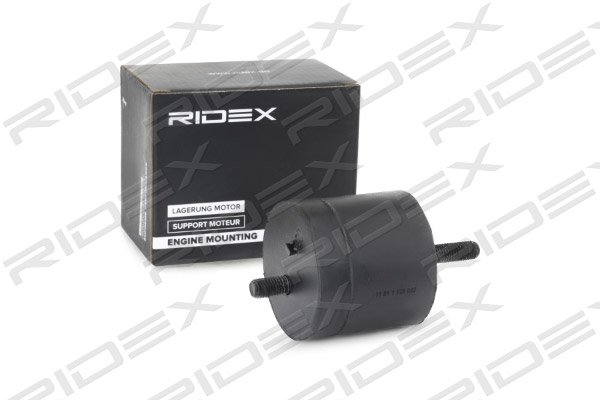 RIDEX 247E0199