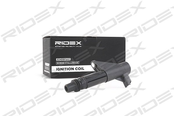 RIDEX 689C0020