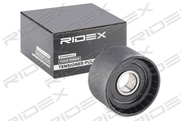 RIDEX 313D0108