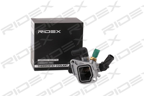 RIDEX 316T0133