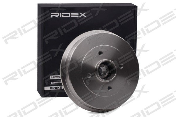 RIDEX 123B0241