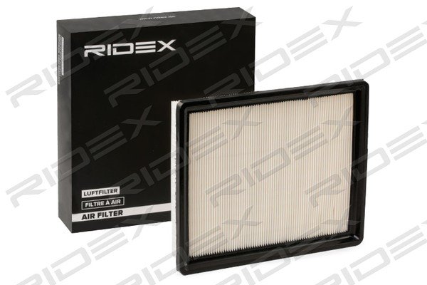 RIDEX 8A0484