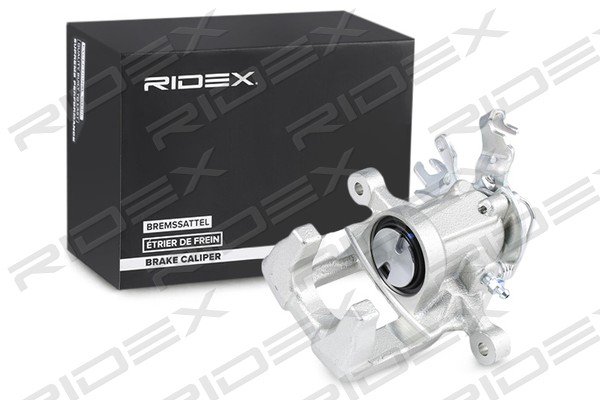 RIDEX 78B1230