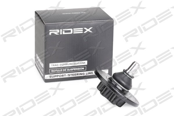 RIDEX 2462S0295